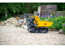 Load image into Gallery viewer, The Handy 300kg (661lb) Petrol Mini Transporter